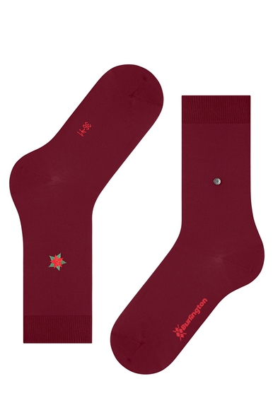 Носки женские бордовые Brit Style Burlington 21451 купить в интернет-магазине Bestelle фото 4