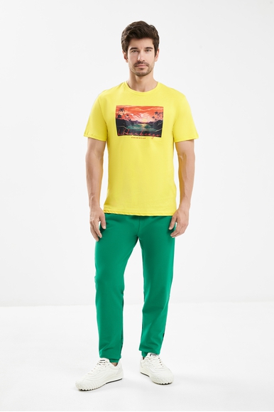 Мужская хлопковая футболка Bikkembergs BKK25MTS05 купить в интернет-магазине Bestelle фото 3