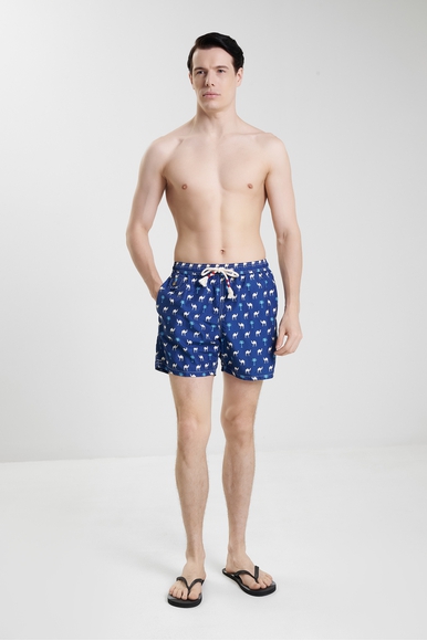 Мужские плавки-шорты MC2 Saint Barth LIGHTING70 купить в интернет-магазине Bestelle фото 3