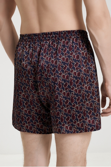 Мужские трусы-шорты Zimmerli 6000-75134 купить в интернет-магазине Bestelle фото 2