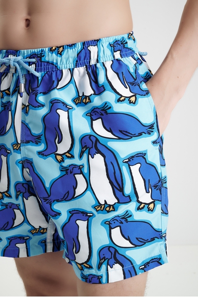  Мужские плавки-шорты  Bluemint ARTHUS купить в интернет-магазине Bestelle фото 4