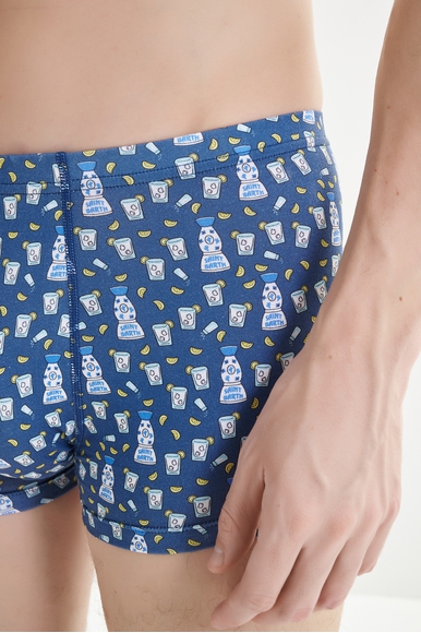  Мужские трусы-боксеры  MC2 Saint Barth HOWARD купить в интернет-магазине Bestelle фото 4