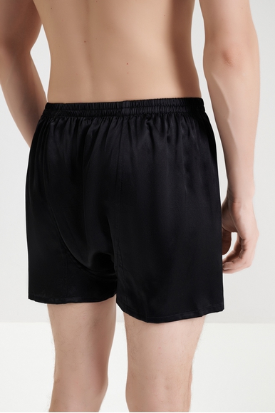 Мужские шелковые трусы-шорты Oryades 080825 купить в интернет-магазине Bestelle фото 2