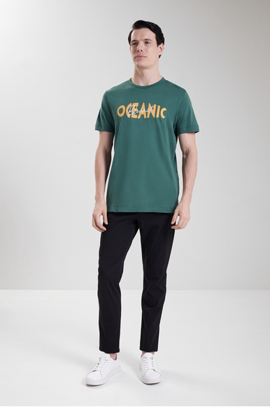  Мужская хлопковая футболка  Bluemint RICCI PRINTED купить в интернет-магазине Bestelle фото 3