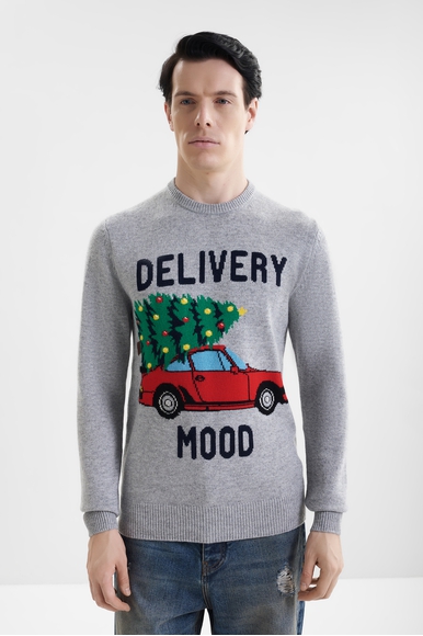 Мужская толстовка MC2 Saint Barth HERON купить в интернет-магазине Bestelle фото 1