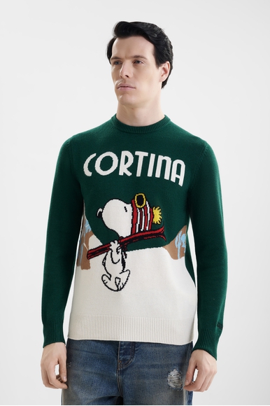 Мужской джемпер MC2 Saint Barth HERONC купить в интернет-магазине Bestelle фото 1