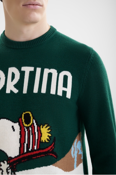 Мужской джемпер MC2 Saint Barth HERONC купить в интернет-магазине Bestelle фото 4