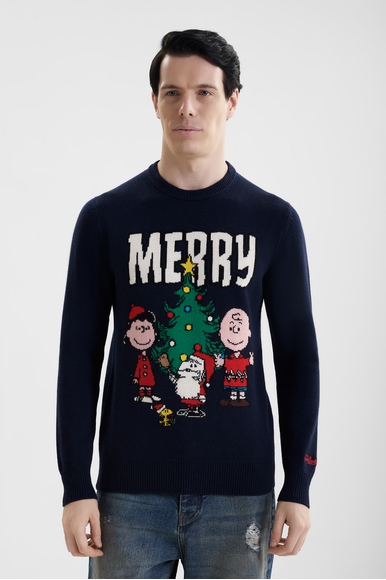 Мужская толстовка MC2 Saint Barth HERON купить в интернет-магазине Bestelle фото 1