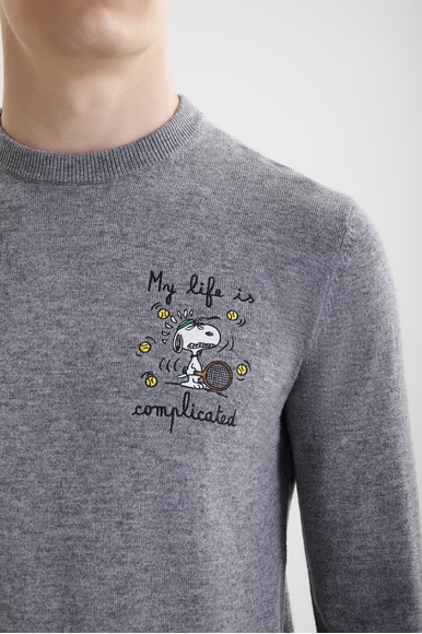 Мужской джемпер MC2 Saint Barth HERONLIGHTEMBRY купить в интернет-магазине Bestelle фото 4