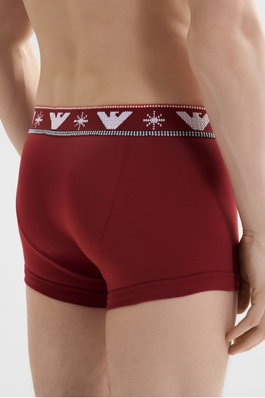 Набор мужские трусы-боксеры 2 шт Emporio Armani EM000253AF15009 купить в интернет-магазине Bestelle фото 2