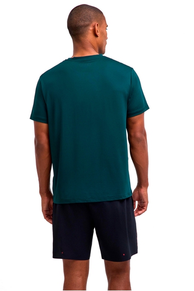 Спортивная зелёная мужская футболка FALKE Sport 38784 купить в интернет-магазине Bestelle фото 2