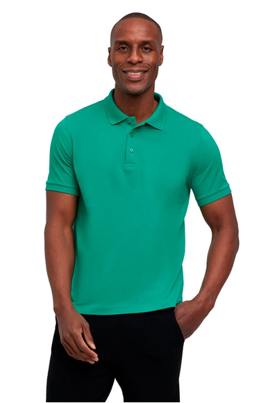 Мужское зелёное поло FALKE 62101 купить в интернет-магазине Bestelle фото 1