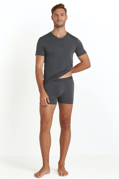 Мужские трусы-боксеры серые Daily ClimaWool FALKE 68043 купить в интернет-магазине Bestelle фото 3