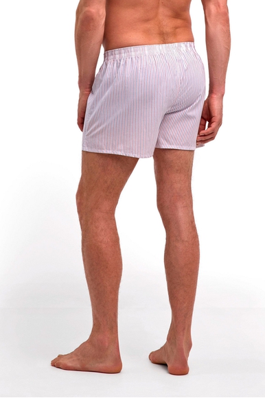 Мужские трусы-шорты в полоску FALKE 68045 купить в интернет-магазине Bestelle фото 2