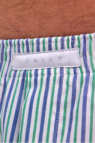 Мужские трусы-шорты в полоску FALKE 68045 купить в интернет-магазине Bestelle фото 4