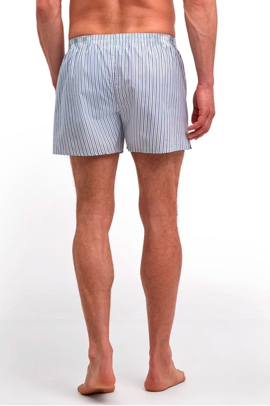 Мужские трусы-шорты в полоску FALKE 68045 купить в интернет-магазине Bestelle фото 2