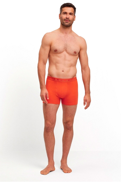 Набор мужских трусов-боксеров 2 шт. Daily Comfort FALKE 68103 купить в интернет-магазине Bestelle фото 4