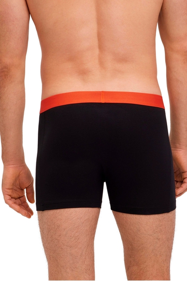 Набор мужских трусов-боксеров 2 шт. Daily Comfort FALKE 68103 купить в интернет-магазине Bestelle фото 3