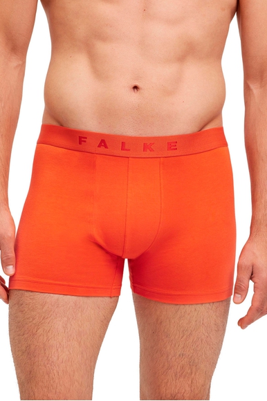 Набор мужских трусов-боксеров 2 шт. Daily Comfort FALKE 68103 купить в интернет-магазине Bestelle фото 2