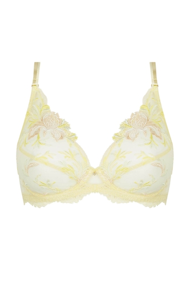 Бюстгальтер с мягкой чашкой Lise Charmel ACH7461 купить в интернет-магазине Bestelle фото 1