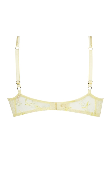 Бюстгальтер с мягкой чашкой Lise Charmel ACH7461 купить в интернет-магазине Bestelle фото 2