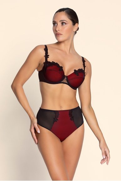 Трусы-хипстеры женские с вышивкой  Lise Charmel ACJ0349 купить в интернет-магазине Bestelle фото 1