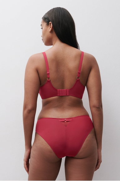  Женские трусы-слипы с вышивкой  Chantelle C12M30 купить в интернет-магазине Bestelle фото 5