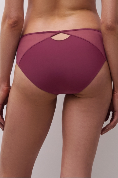 Женские трусы-слипы Chantelle C15YC5 купить в интернет-магазине Bestelle фото 10