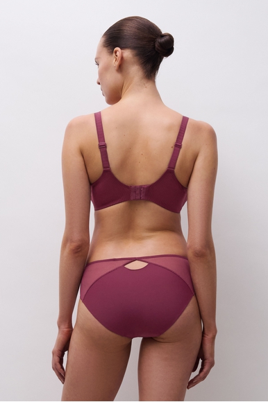 Женские трусы-слипы Chantelle C15YC5 купить в интернет-магазине Bestelle фото 6