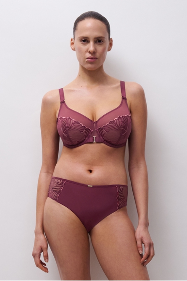 Женские трусы-слипы Chantelle C15YC5 купить в интернет-магазине Bestelle фото 5