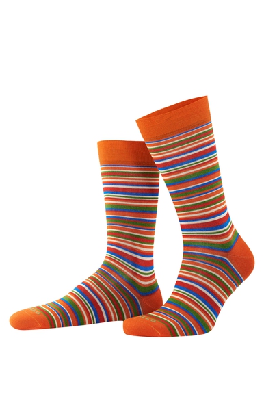 Носки мужские разноцветные Calze GALLO AP515739 купить в интернет-магазине Bestelle фото 1