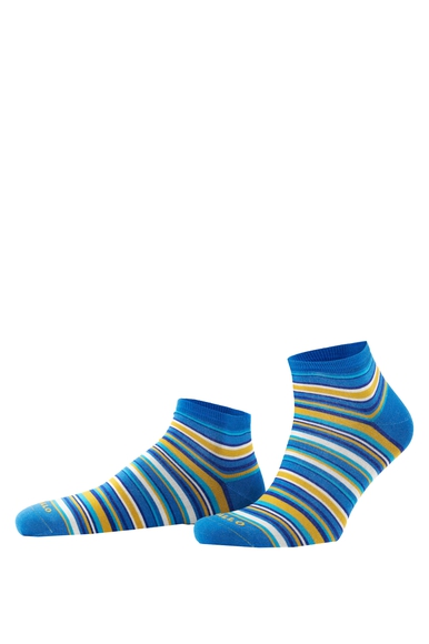 Носки мужские разноцветные Calze GALLO AP515740 купить в интернет-магазине Bestelle фото 1