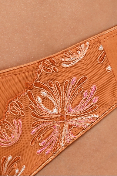 Женские трусы-слипы Chantelle C26030 купить в интернет-магазине Bestelle фото 3