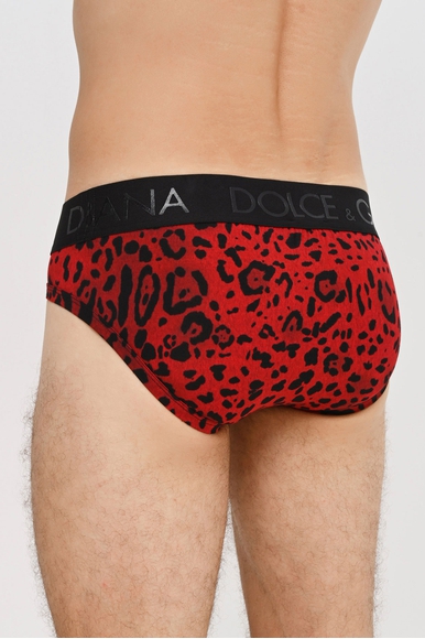  Мужские классические трусы  Dolce & Gabbana M3D33JFSGZH купить в интернет-магазине Bestelle фото 2
