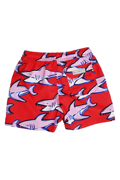  Шорты для плавания  Bluemint ARTHUS BOY купить в интернет-магазине Bestelle фото 2