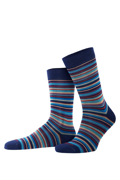 Носки мужские разноцветные Calze GALLO AP515739 купить в интернет-магазине Bestelle фото 1