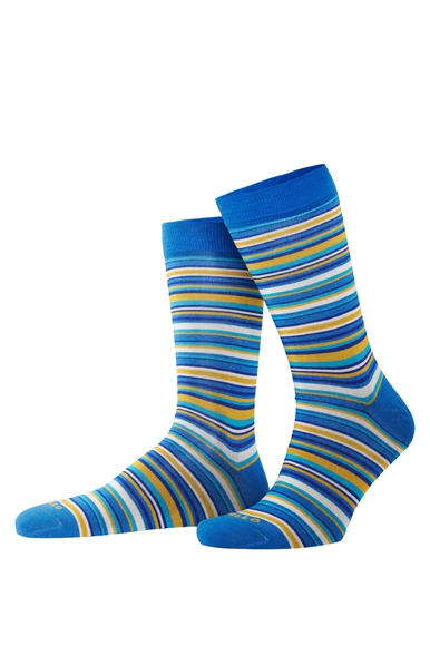 Носки мужские разноцветные Calze GALLO AP515739 купить в интернет-магазине Bestelle фото 1