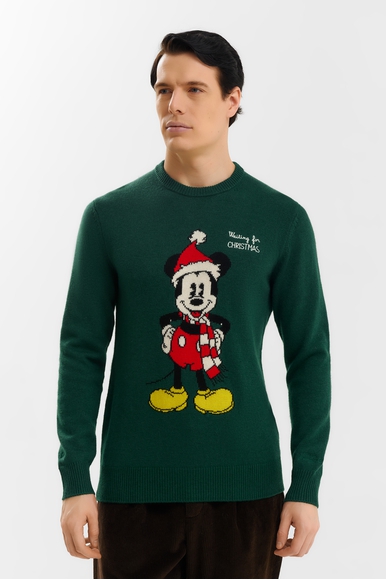 Мужская толстовка MC2 Saint Barth HERON купить в интернет-магазине Bestelle фото 1