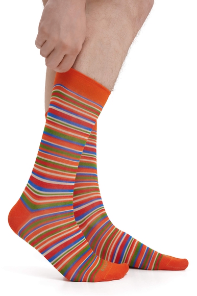 Носки мужские разноцветные Calze GALLO AP515739 купить в интернет-магазине Bestelle фото 4