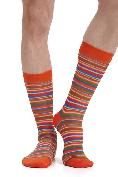 Носки мужские разноцветные Calze GALLO AP515739 купить в интернет-магазине Bestelle фото 2