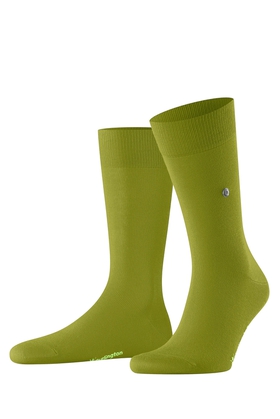Носки мужские зеленые Brit Style