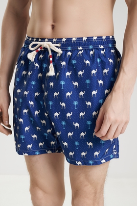 Мужские плавки-шорты