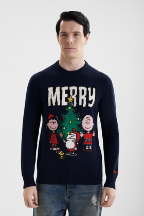 Мужская толстовка