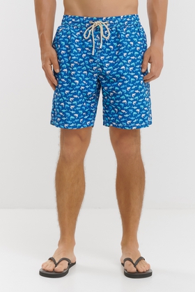 Мужские плавки-шорты