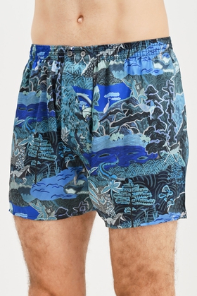  Мужские трусы-шорты из шелка 